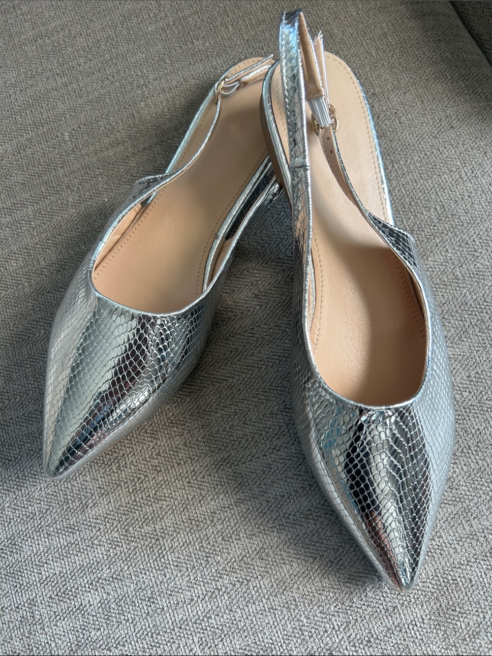 Women’s Silver Pointed Toe Slingback Flats - Metallic Snake Embossed